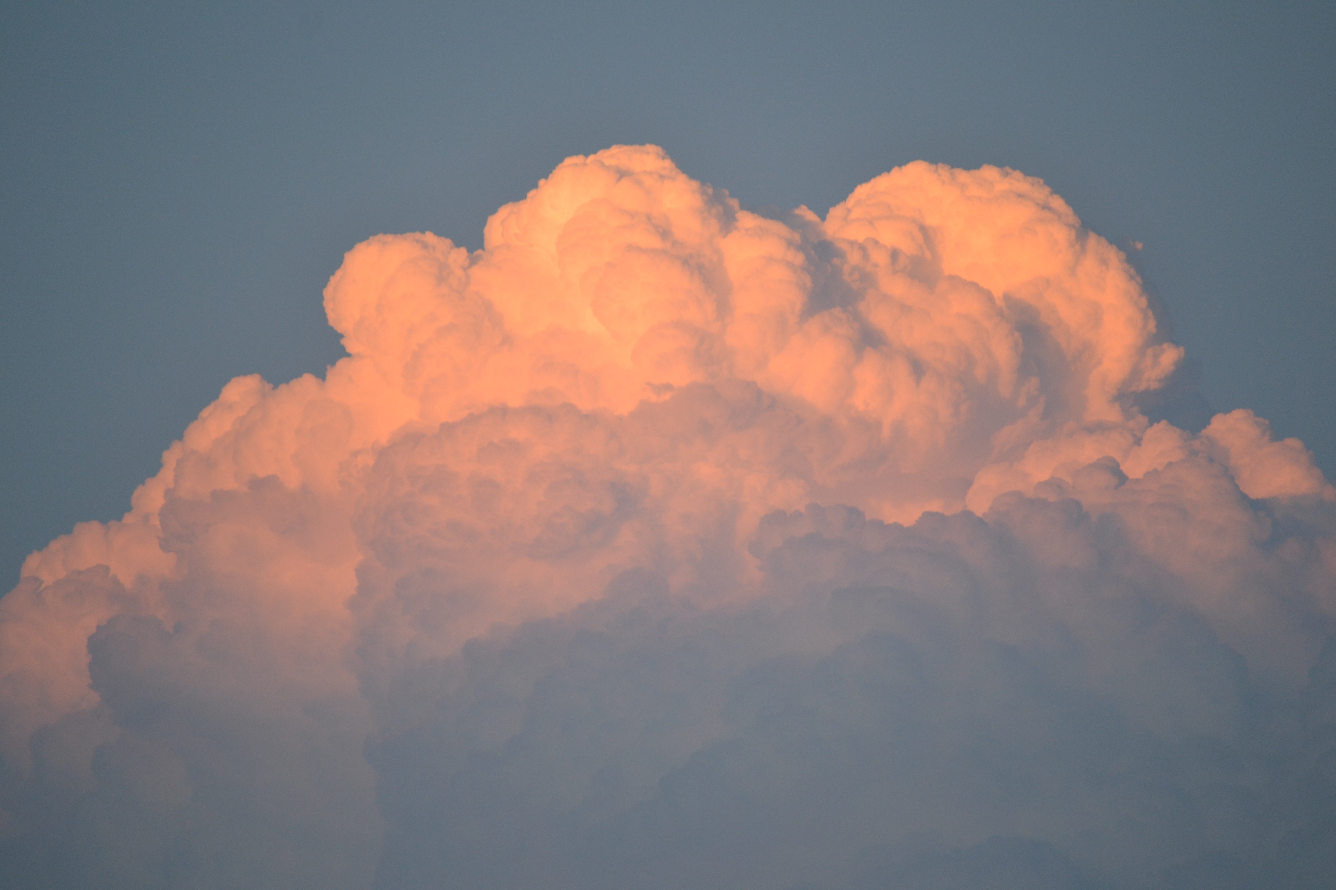 Is the cloud our only future?